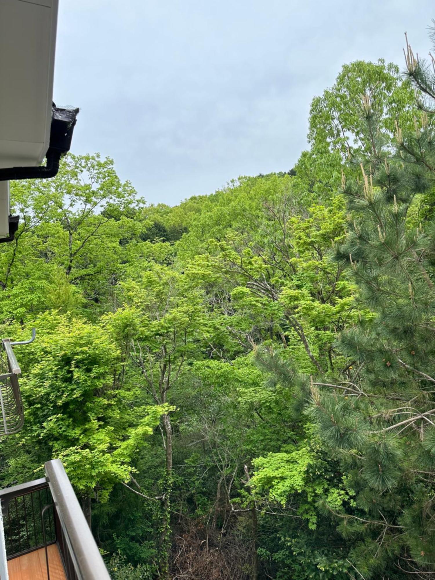 Holiday home 南箱根 熱海 貸切別荘 リゾートハウス カームスペース Resorthouse Calmspace Kannami